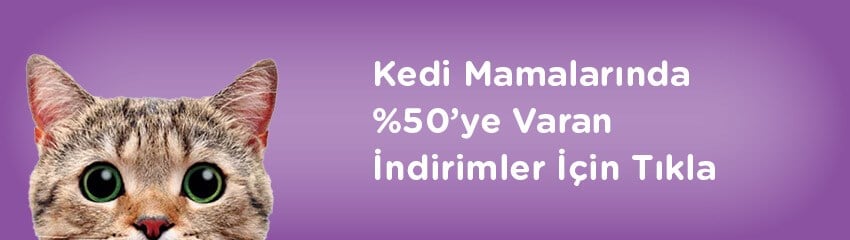 Kedi Huzur Evi Kedi Huzur Evi