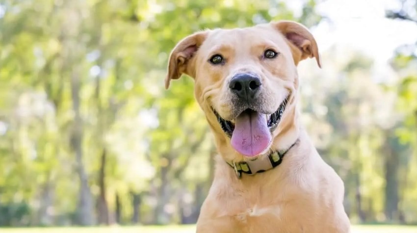 Mutluluk Kaynağım İyi ki Geldin!