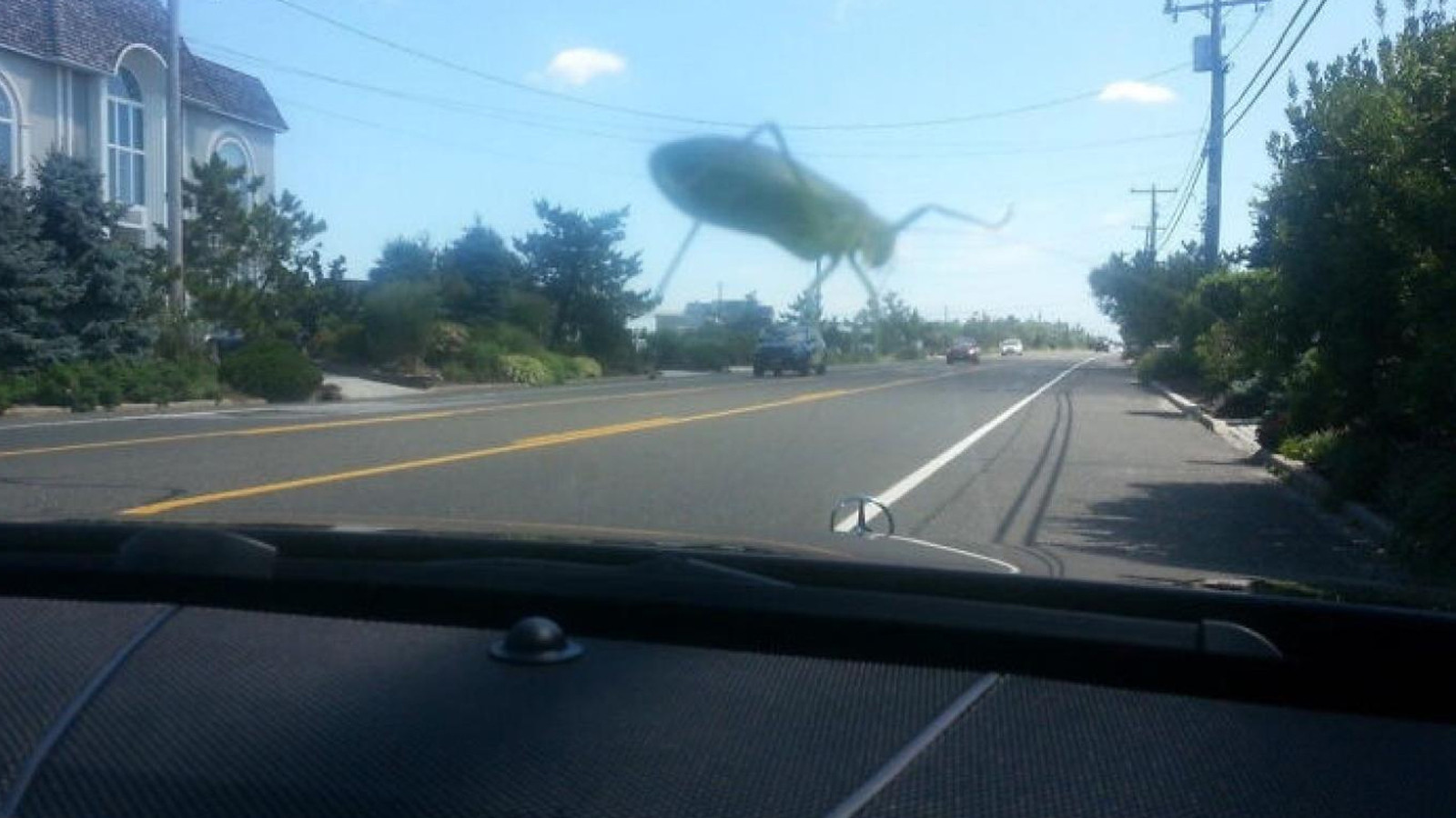 Photoshop olmadığına inanmak zor… Beyin yakan 11 fotoğraf! Photoshop olmadığına inanmak zor… Beyin yakan 11 fotoğraf!