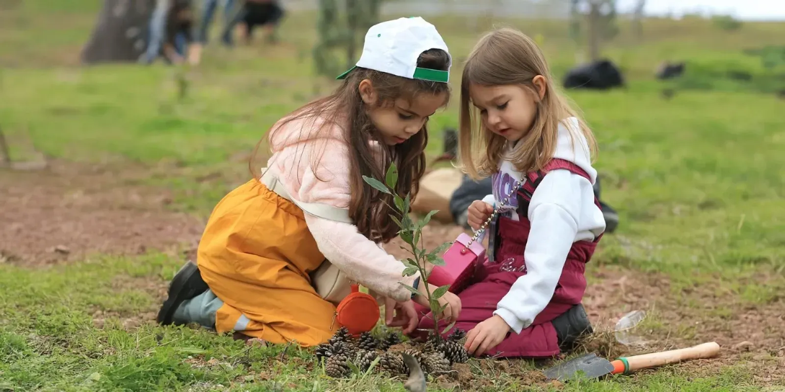 10 Kasım’da Anma, 11 Kasım’da Fidan: MEB’den İki Günü Birleştiren Proje