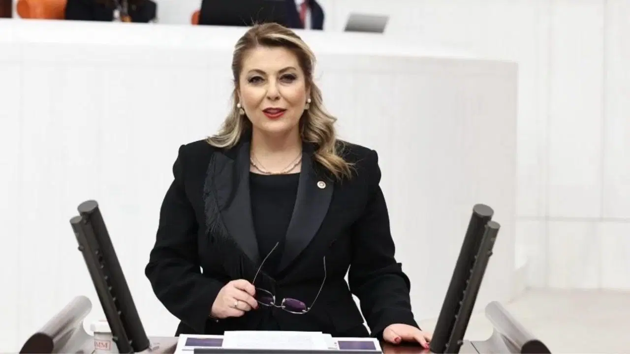 CHP’li Gezmiş’ten Dal-Çık Projesi tepkisi: ‘Sesli açılış, sessiz kapanış’ – Son Dakika Siyaset Haberleri