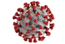 Corona Virüsü ve Hayvanlar: Kedi ve Köpeklerde Etkileri