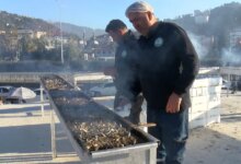 Rize’deki Hamsi Festivali’nde 2 Ton Hamsi Tüketildi