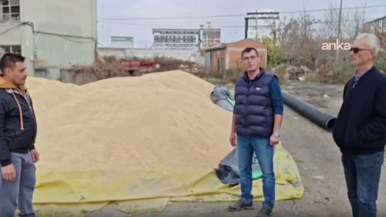 CHP’li Akgüngör’den TMO’ya çeltik alım fiyatı tepkisi: ‘Çiftçimizi desteklersek bu ülke var olur’ – Son Dakika Siyaset Haberleri