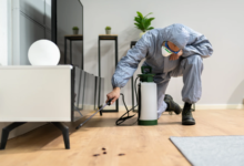 Fosfit Gazı Kullanımı ve İlaçlama Fiyatları Üzerine