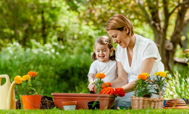 Aile İçi Aktivitelerin Çocuklar Üzerindeki Etkileri